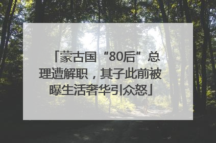 蒙古国“80后”总理遭解职，其子此前被曝生活奢华引众怒