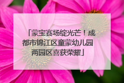 蒙宝赛场绽光芒！成都市锦江区童蒙幼儿园两园区喜获荣耀