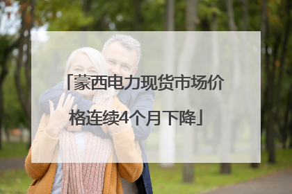 蒙西电力现货市场价格连续4个月下降