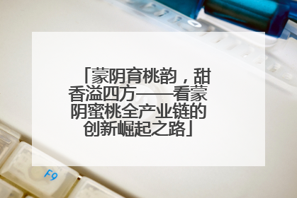 蒙阴育桃韵，甜香溢四方——看蒙阴蜜桃全产业链的创新崛起之路