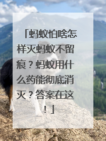蚂蚁怕啥怎样灭蚂蚁不留痕？蚂蚁用什么药能彻底消灭？答案在这！