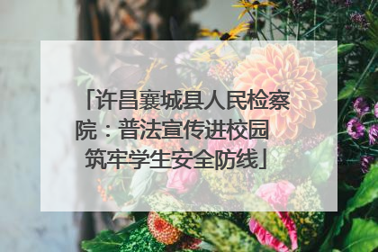 许昌襄城县人民检察院：普法宣传进校园 筑牢学生安全防线