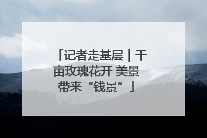 记者走基层｜千亩玫瑰花开 美景带来“钱景”