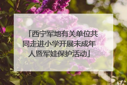 西宁军地有关单位共同走进小学开展未成年人暨军娃保护活动