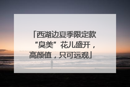 西湖边夏季限定款“臭美”花儿盛开，高颜值，只可远观