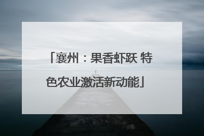 襄州：果香虾跃 特色农业激活新动能