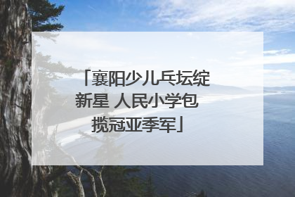 襄阳少儿乓坛绽新星 人民小学包揽冠亚季军