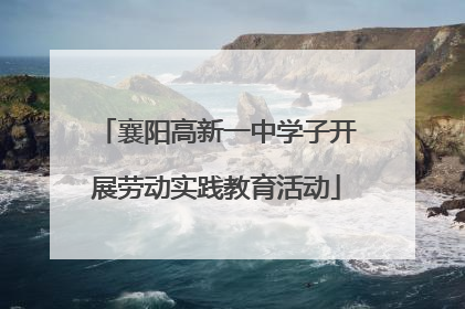襄阳高新一中学子开展劳动实践教育活动