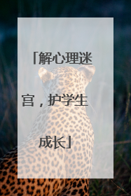 解心理迷宫，护学生成长