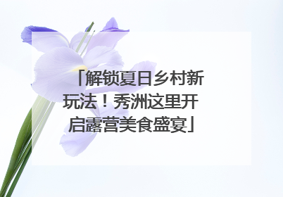 解锁夏日乡村新玩法！秀洲这里开启露营美食盛宴
