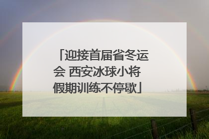 迎接首届省冬运会 西安冰球小将假期训练不停歇