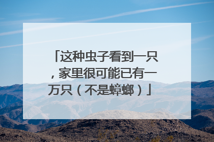 这种虫子看到一只，家里很可能已有一万只（不是蟑螂）