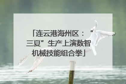 连云港海州区：“三夏”生产上演数智机械技能组合拳
