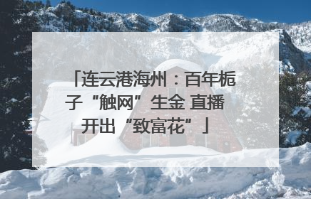 连云港海州：百年栀子“触网”生金 直播开出“致富花”