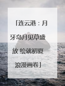 连云港：月牙岛月见草盛放 绘就初夏浪漫画卷