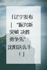 辽宁发布｜“振兴新突破 决胜勇争先” 沈阳这么干！