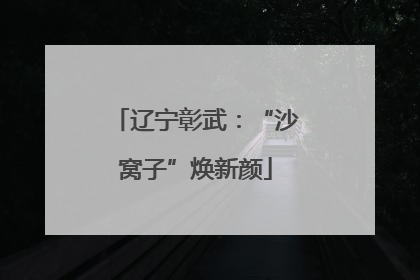 辽宁彰武：“沙窝子”焕新颜