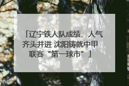 辽宁铁人队成绩、人气齐头并进 沈阳铸就中甲联赛“第一球市”