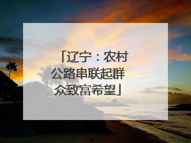 辽宁：农村公路串联起群众致富希望