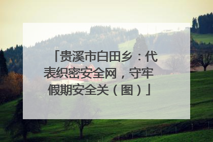 贵溪市白田乡：代表织密安全网，守牢假期安全关（图）