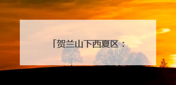 贺兰山下西夏区：执“生态之笔” 书写“绿色答卷”