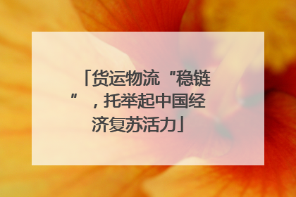 货运物流“稳链”，托举起中国经济复苏活力