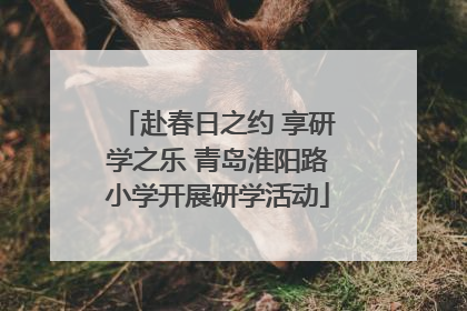 赴春日之约 享研学之乐 青岛淮阳路小学开展研学活动