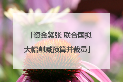 资金紧张 联合国拟大幅削减预算并裁员