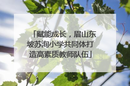 赋能成长，眉山东坡苏洵小学共同体打造高素质教师队伍