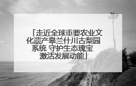 走近全球重要农业文化遗产皋兰什川古梨园系统 守护生态瑰宝 激活发展动能