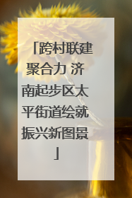 跨村联建聚合力 济南起步区太平街道绘就振兴新图景
