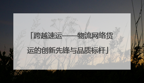 跨越速运——物流网络货运的创新先锋与品质标杆
