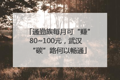 通勤族每月可“赚”80~100元，武汉“碳”路何以畅通