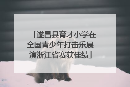 遂昌县育才小学在全国青少年打击乐展演浙江省赛获佳绩