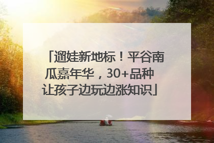 遛娃新地标！平谷南瓜嘉年华，30+品种让孩子边玩边涨知识