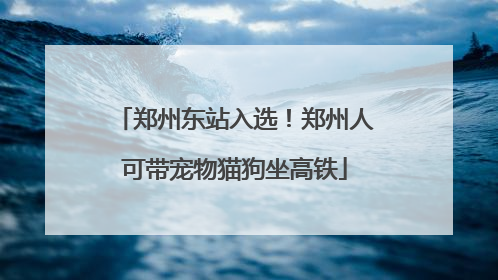 郑州东站入选！郑州人可带宠物猫狗坐高铁