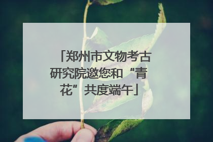 郑州市文物考古研究院邀您和“青花”共度端午