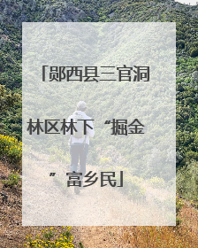 郧西县三官洞林区林下“掘金”富乡民