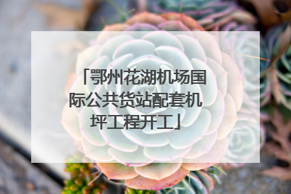 鄂州花湖机场国际公共货站配套机坪工程开工