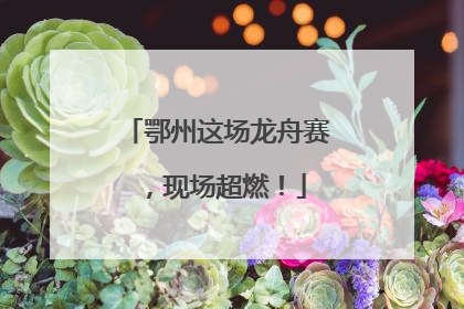 鄂州这场龙舟赛，现场超燃！