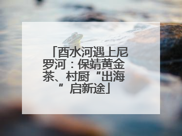 酉水河遇上尼罗河：保靖黄金茶、村厨“出海”启新途