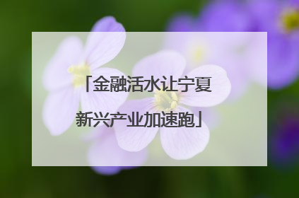 金融活水让宁夏新兴产业加速跑