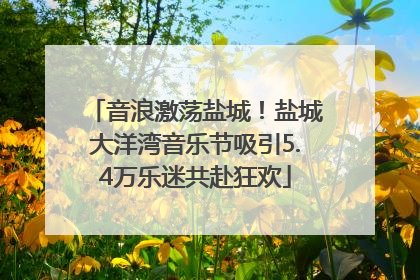音浪激荡盐城！盐城大洋湾音乐节吸引5.4万乐迷共赴狂欢