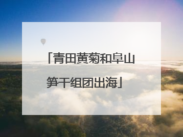 青田黄菊和阜山笋干组团出海