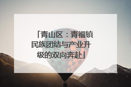 青山区：青福镇民族团结与产业升级的双向奔赴