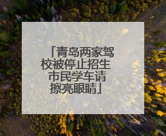 青岛两家驾校被停止招生 市民学车请擦亮眼睛