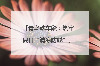 青岛动车段：筑牢夏日“清凉防线”