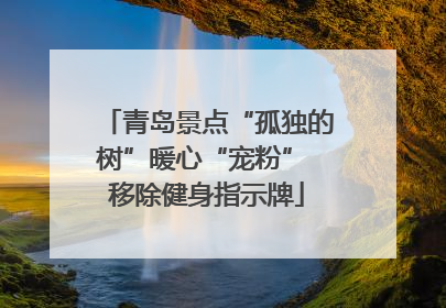青岛景点“孤独的树”暖心“宠粉” 移除健身指示牌