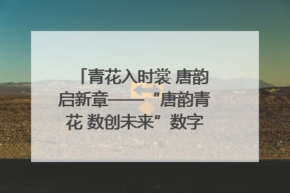 青花入时裳 唐韵启新章——“唐韵青花 数创未来”数字文创设计大赛启幕