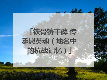 铁骨铸丰碑 传承慰英魂（地名中的抗战记忆）